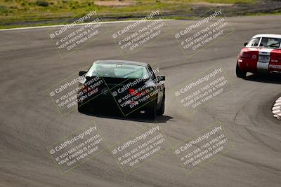 media/Feb-25-2024-Speed Ventures (Sun) [[b9a2a97a4d]]/Purple Group/Session 1 (Turns 4 and 5)/